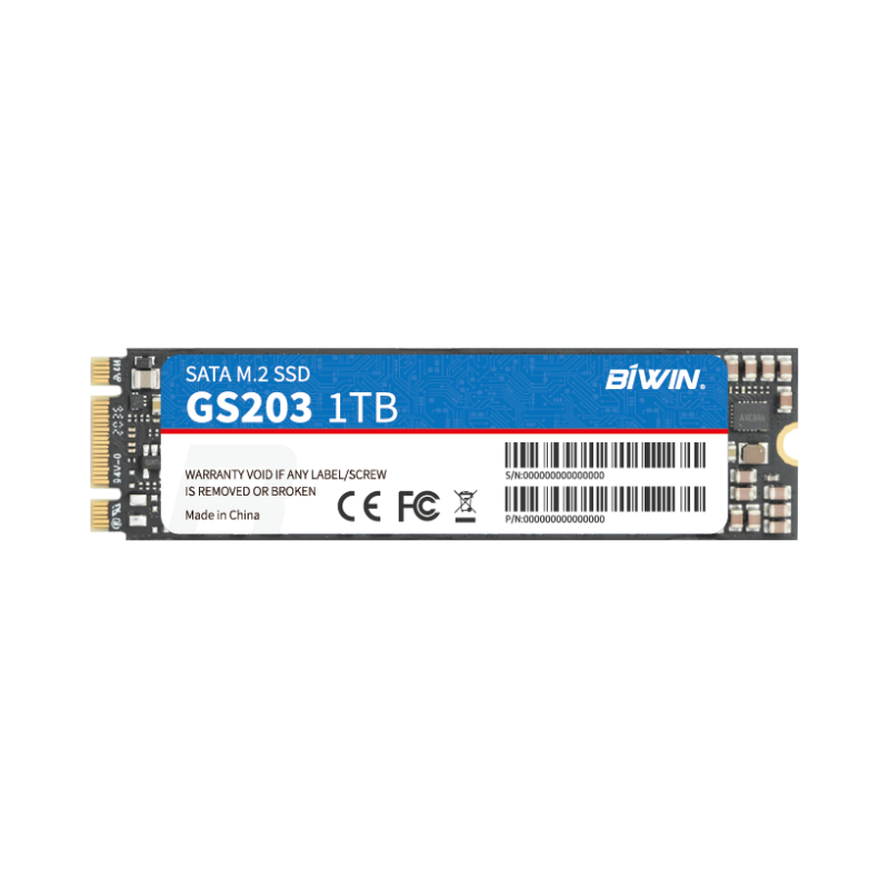 M.2 SATA SSD